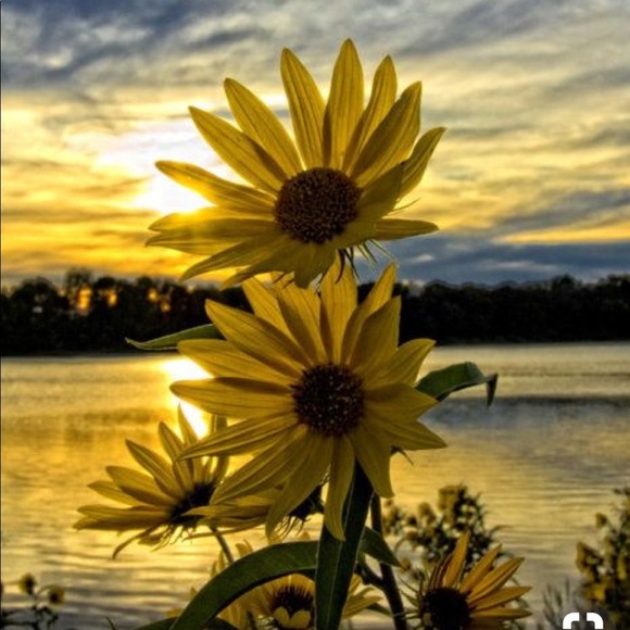 Meet your Posher, Natalya - Picture 4 of 5